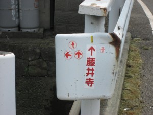You tell me which way to go