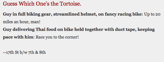 tortise tortise