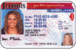 sample-license