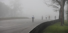 Bicyclists on Lake Shore Drive, Foggy May Morning, Looking Southbound Near Belmont