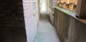 The back tunnel