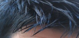 Blue Up Close
