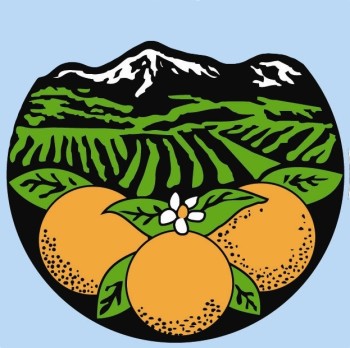 oranges