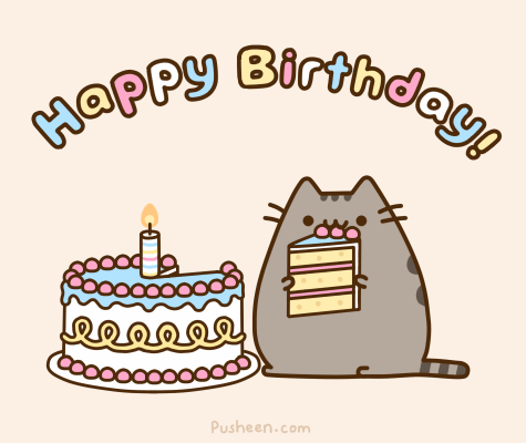 My Birthday Wish