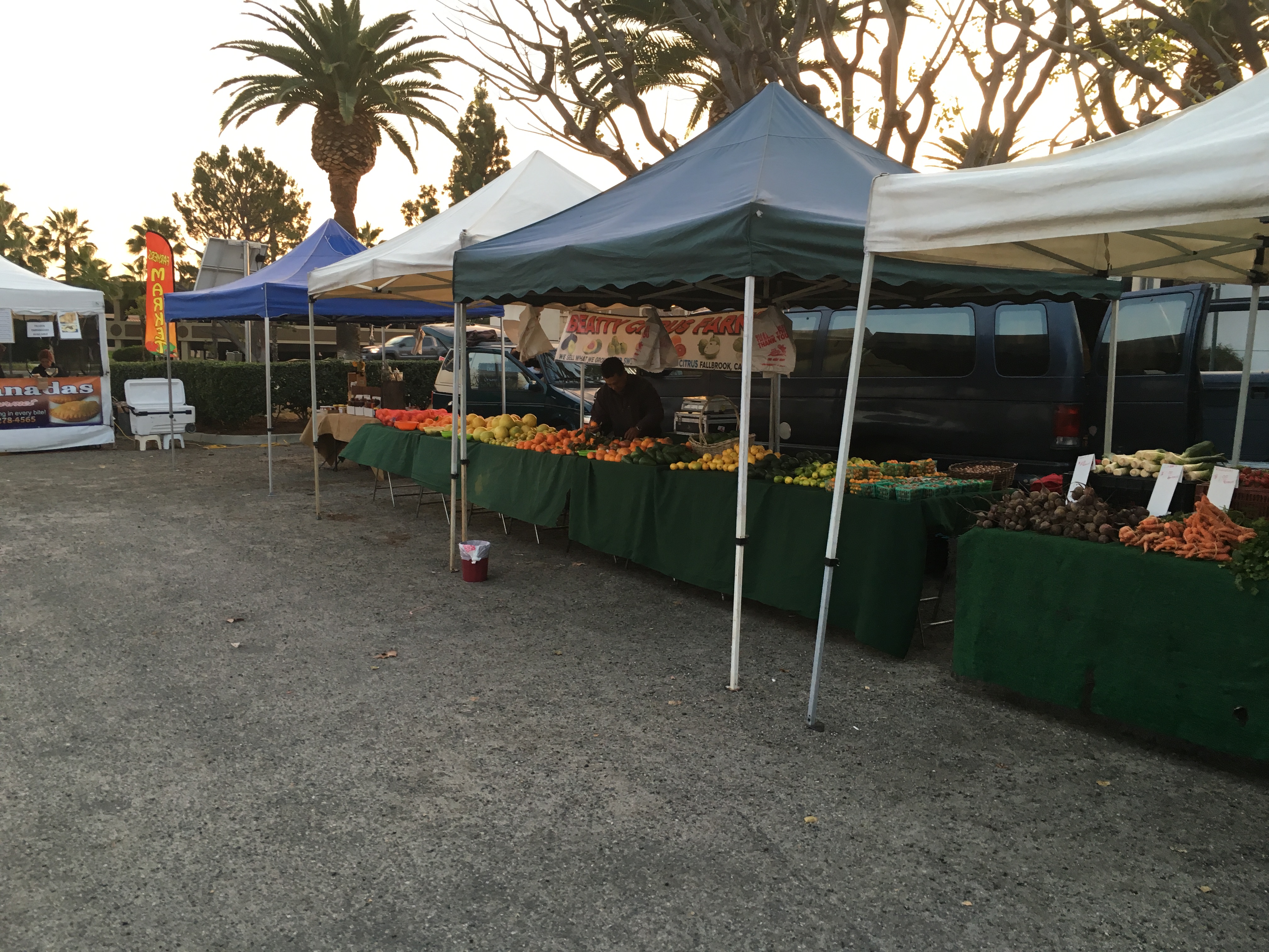 Thursday’s Market